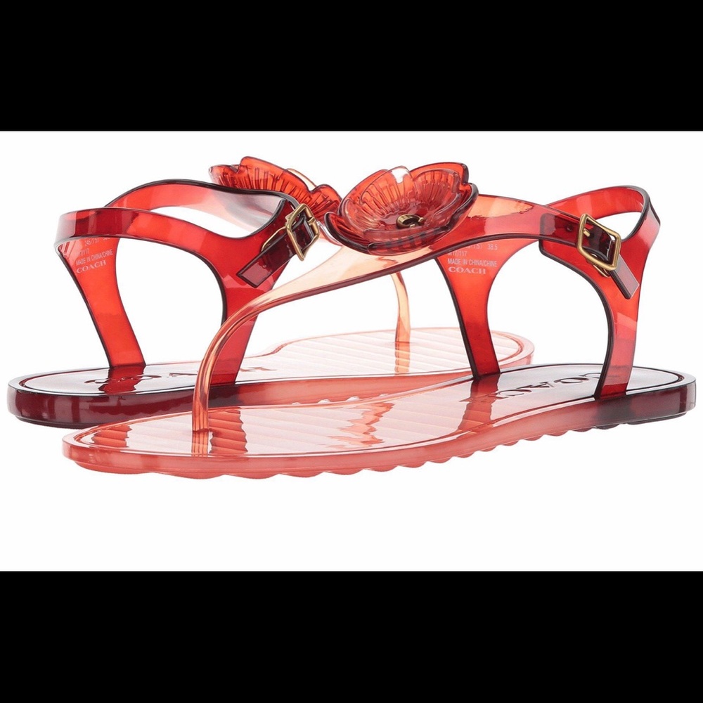 COACH-Pink Tea Rose Jelly Sandal (peony/wine)